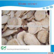 high quality Alisma Extract